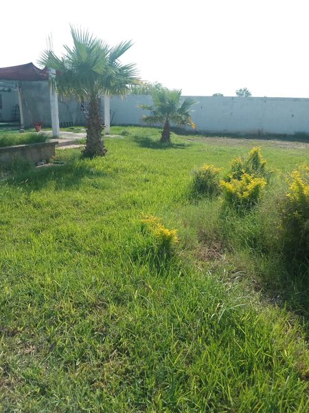 Quinta en venta en Castilla Diamante, Salinas Victoria — foto 2 de 12