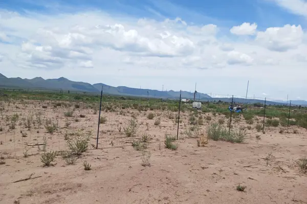 Terreno en venta en El Derramadero, Saltillo — foto 3 de 7