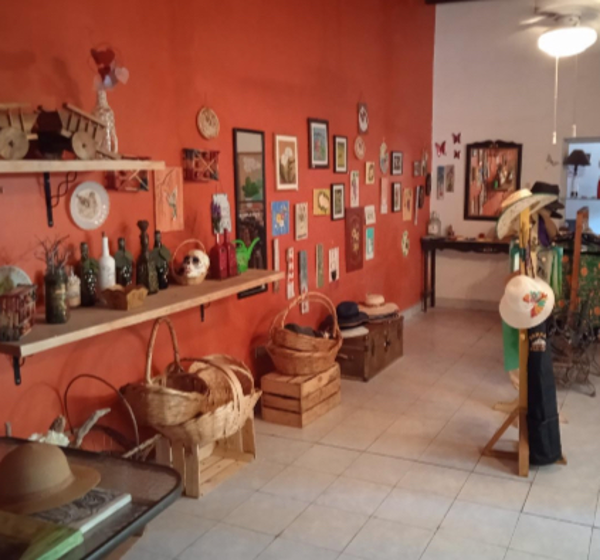 Casa en venta en Parras de la Fuente Centro, Parras — foto 3 de 6