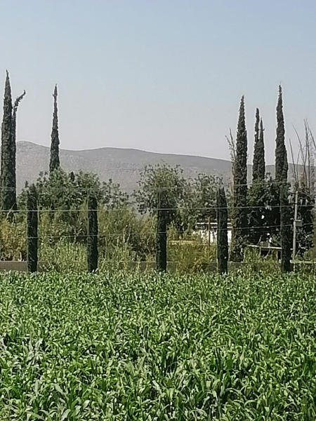 Terreno en venta en Ciudad Juárez, Lerdo — foto 2 de 11