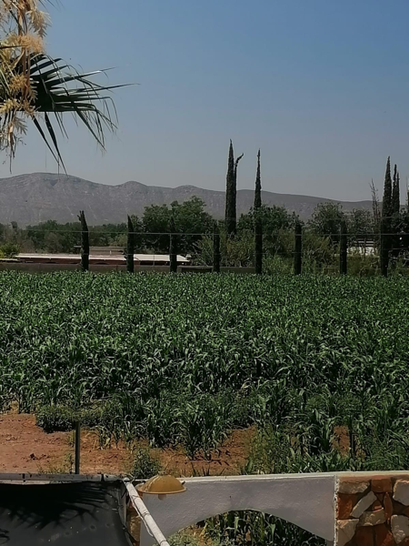 Terreno en venta en Ciudad Juárez, Lerdo — foto 3 de 11