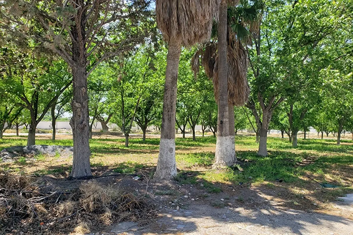 Terreno en venta en La Joya, Arteaga — foto 1 de 4