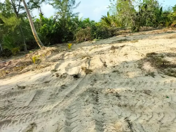 Terreno en venta en Tampamachoco, Tuxpan — foto 2 de 7