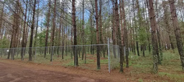 Terreno en venta en San Antonio Metlahuacales, Chignahuapan — foto 2 de 13