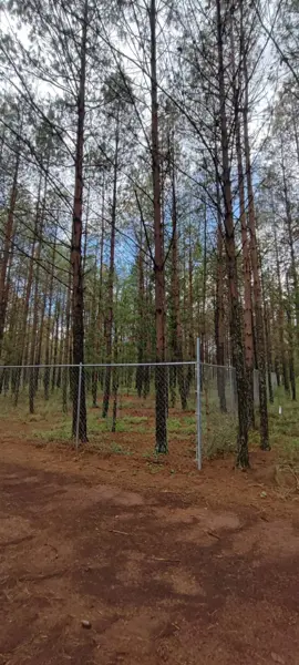Terreno en venta en San Antonio Metlahuacales, Chignahuapan — foto 3 de 13