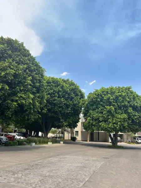 Casa en venta en Arcos de Guadalupe, Zapopan — foto 3 de 23