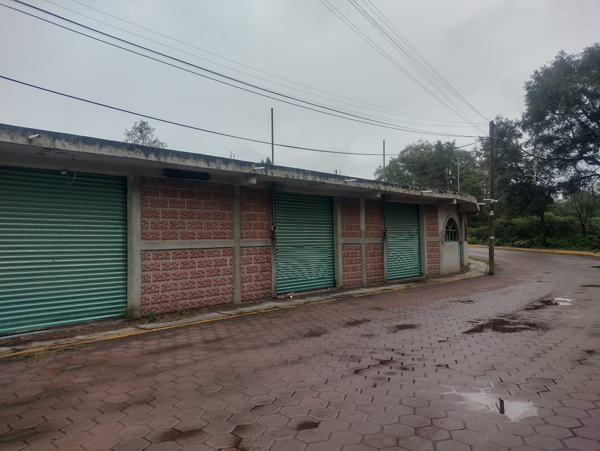 Local en venta en Guadalupe Texcalac, Tetla de la Solidaridad — foto 3 de 9