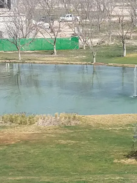 Terreno en venta en Parras, Parras — foto 2 de 17