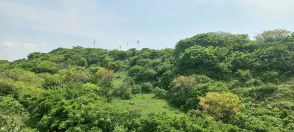 Terreno en venta en La Trocha, Alvarado — foto 3 de 3