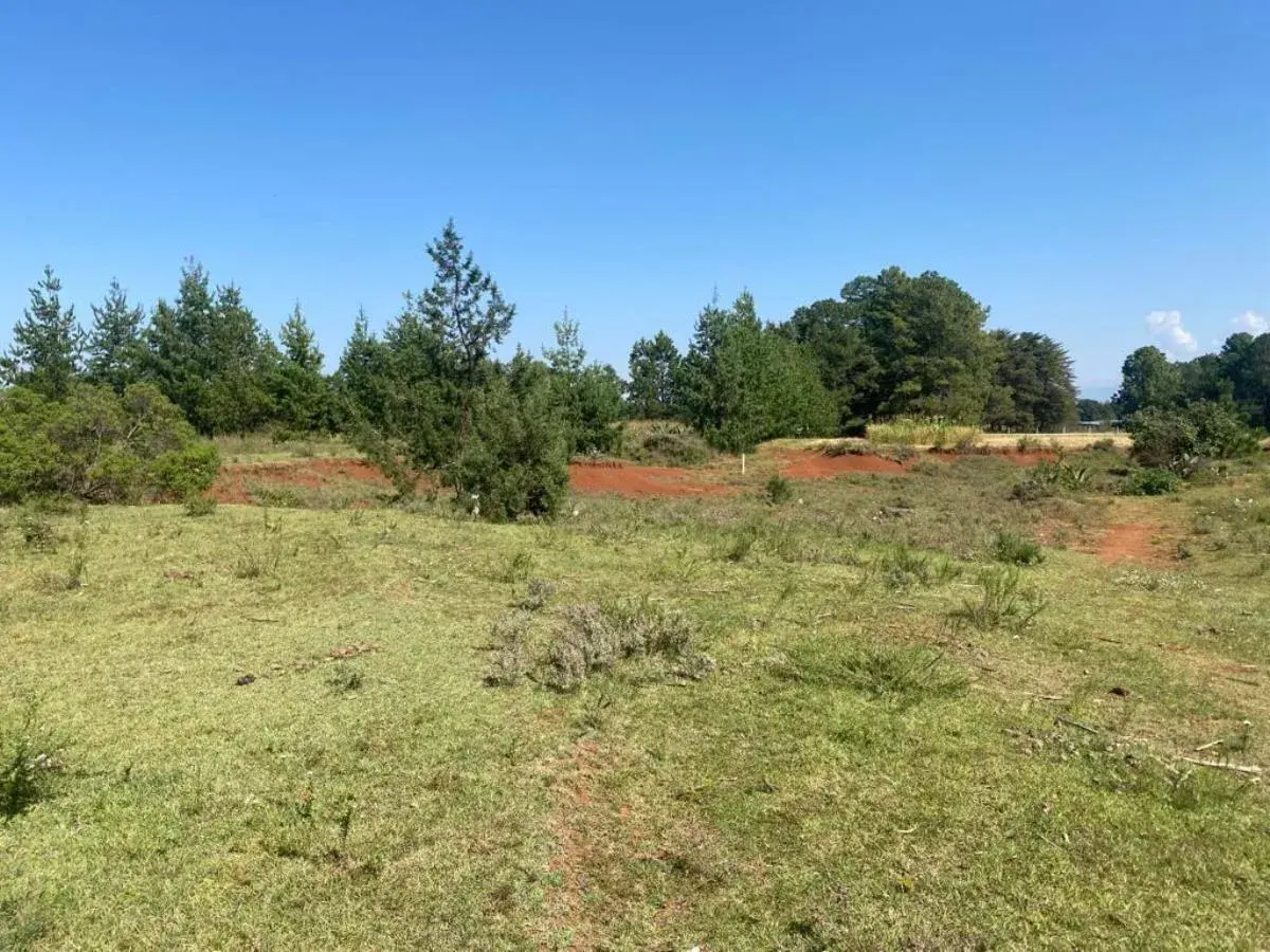 Terreno en venta en San José Ocotillos, Huasca de Ocampo — foto 1 de 5