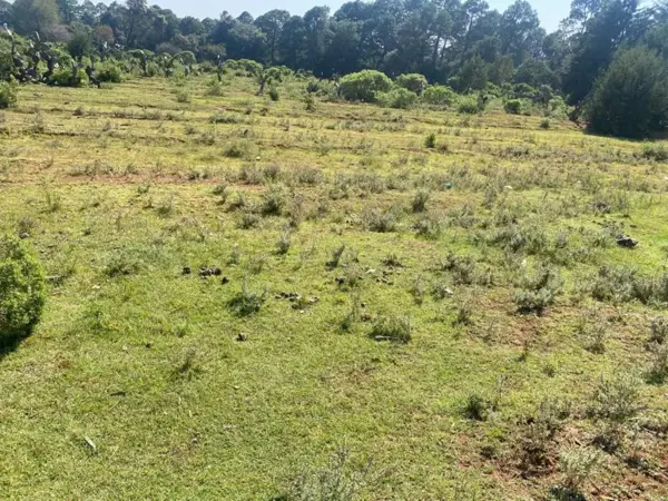 Terreno en venta en San José Ocotillos, Huasca de Ocampo — foto 2 de 5