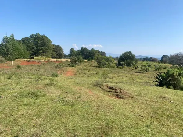 Terreno en venta en San José Ocotillos, Huasca de Ocampo — foto 3 de 5