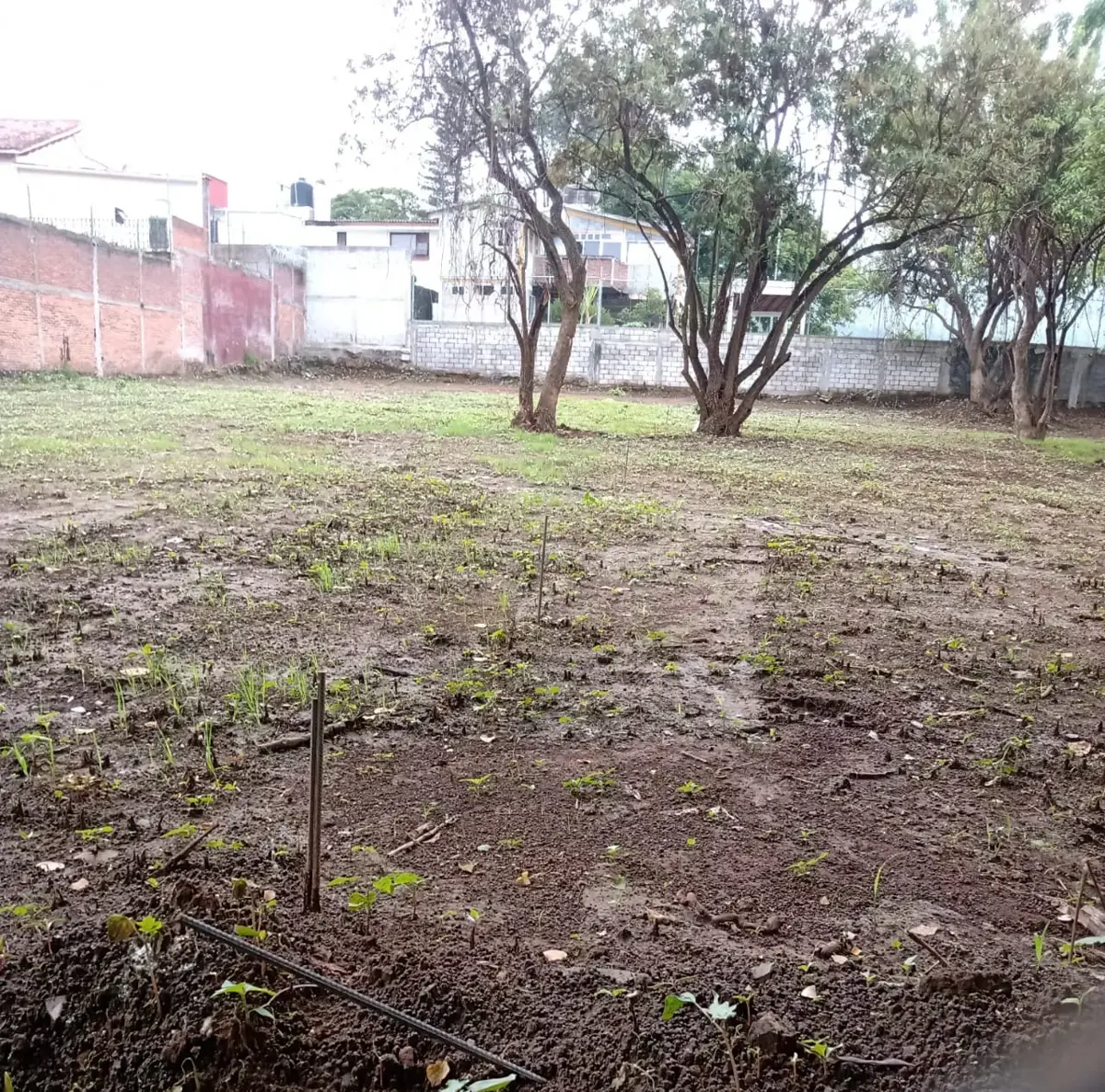 Terreno en venta en Mirador Universidad, Cuernavaca — foto 1 de 10