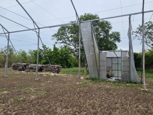 Finca-Rancho en venta en Yobaín, Yobaín — foto 2 de 12