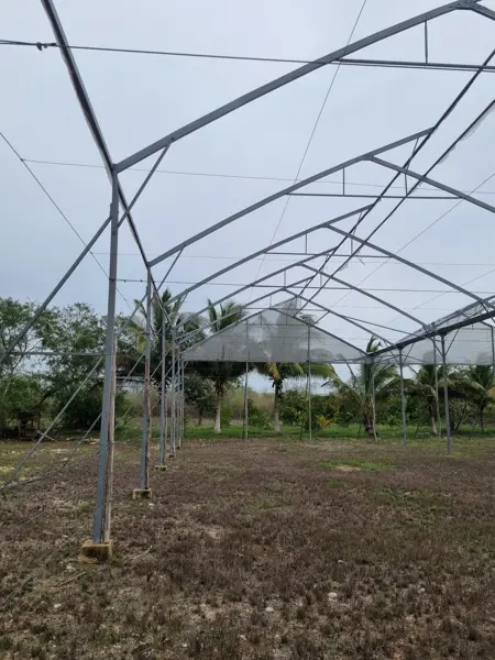 Finca-Rancho en venta en Yobaín, Yobaín — foto 3 de 12