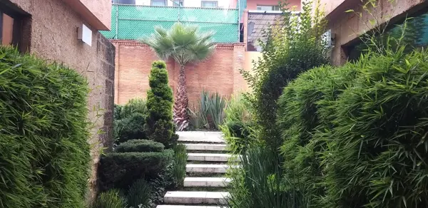 Casa en venta en Contadero, Cuajimalpa de Morelos — foto 3 de 13