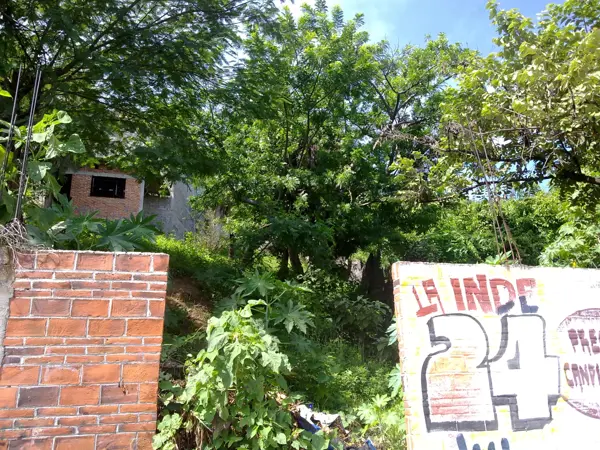 Terreno en venta en Jose Lopez Portillo, Jiutepec — foto 2 de 9