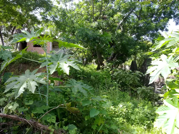 Terreno en venta en Jose Lopez Portillo, Jiutepec — foto 3 de 9