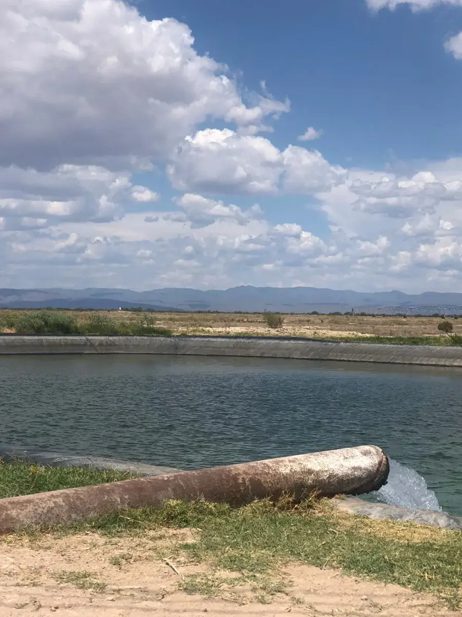 Finca-Rancho en venta en Parras de la Fuente Centro, Parras — foto 1 de 23