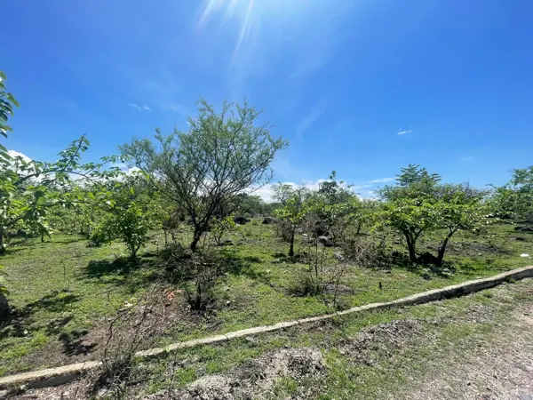 Terreno en venta en Atlatlahucan, Atlatlahucan — foto 3 de 12