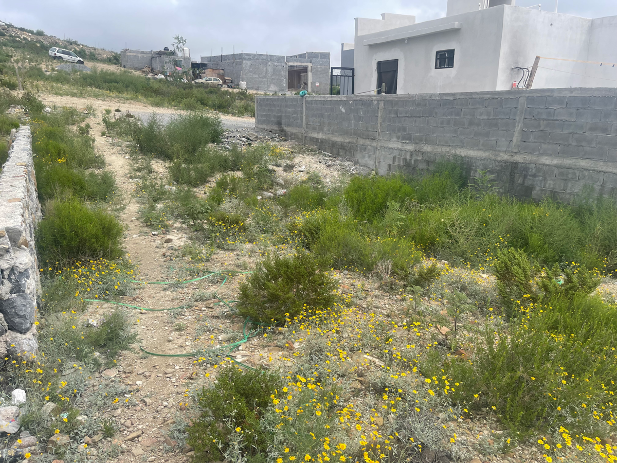 Terreno en renta en Villa Sol, Ramos Arizpe — foto 1 de 5