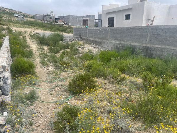 Terreno en renta en Villa Sol, Ramos Arizpe, Coahuila de Zaragoza