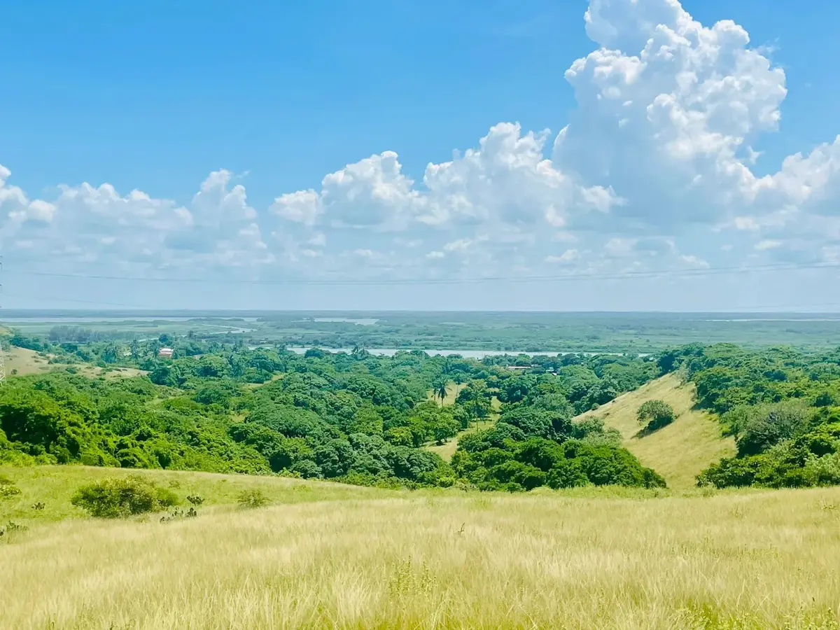 Finca-Rancho en venta en Los Médanos de Buena Vista, Alvarado — foto 1 de 9