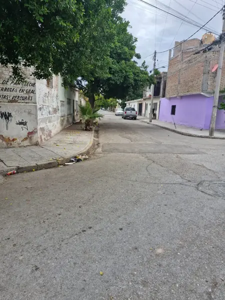 Terreno en venta en Eugenio Aguirre Benavides, Torreón — foto 3 de 8
