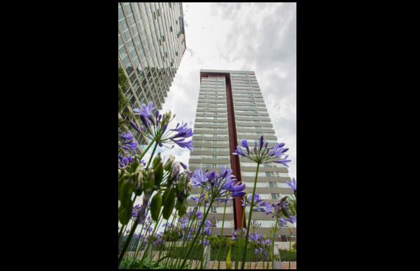 Departamento en venta en San Mateo Tlaltenango, Cuajimalpa de Morelos, Ciudad de México