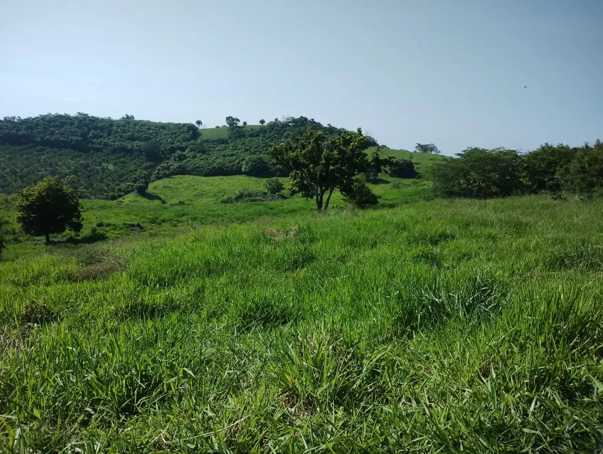 Terreno en venta en San Nicolás, Tihuatlán — foto 1 de 3