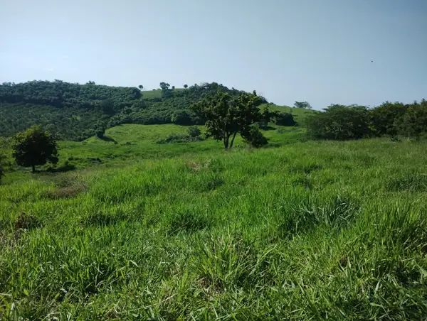 Terreno en venta en San Nicolás, Tihuatlán, Veracruz de Ignacio de la Llave