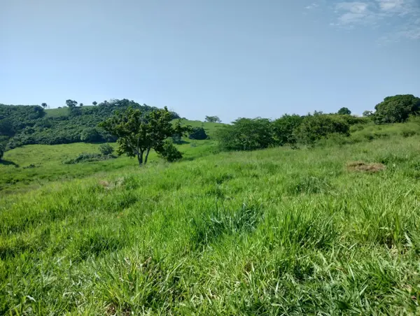 Terreno en venta en San Nicolás, Tihuatlán — foto 2 de 3