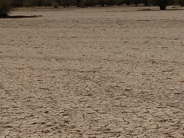 Terreno en venta en Morelos Dos (Bilbao), Matamoros — foto 3 de 10