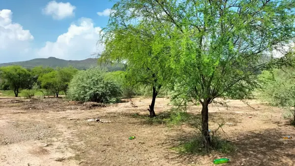 Terreno en venta en Ciudad Juárez, Lerdo — foto 3 de 7