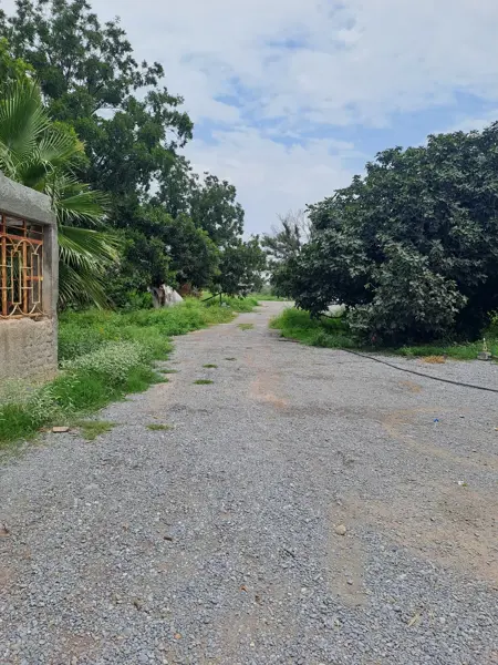 Terreno en venta en Guanajuato de Abajo, Ramos Arizpe — foto 3 de 10