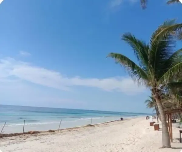 Terreno en venta en Cobá, Tulum — foto 2 de 11