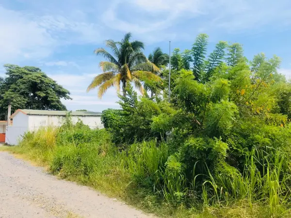 Terreno en venta en Campestre las Bajadas, Veracruz — foto 3 de 4
