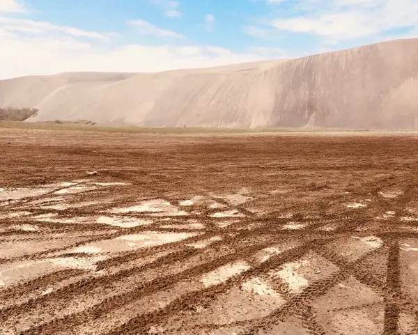 Terreno en venta en El Paraíso (La Charca), Úrsulo Galván — foto 3 de 9