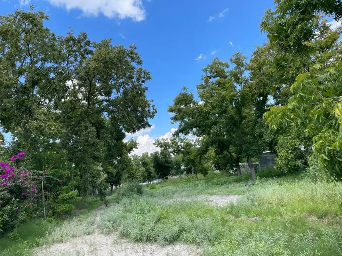Terreno en venta en Parras de la Fuente Centro, Parras — foto 1 de 4