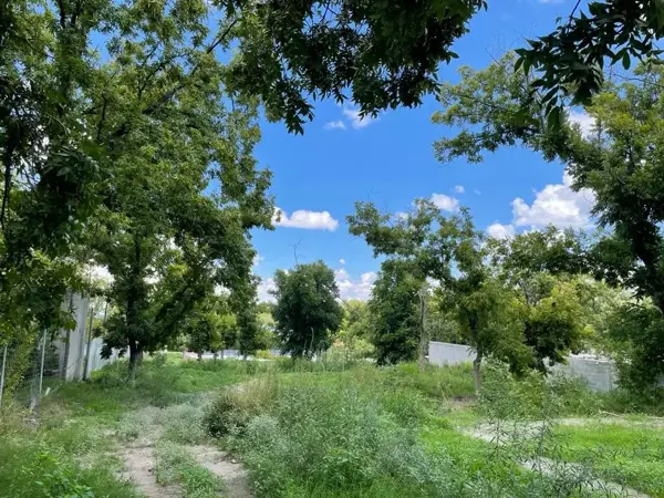 Terreno en venta en Parras de la Fuente Centro, Parras — foto 3 de 4