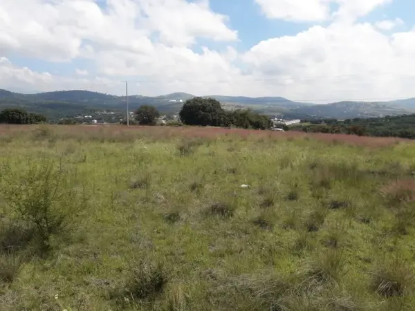 Terreno en venta en Santa Cruz Alpuyeca, Cuautinchán — foto 2 de 5