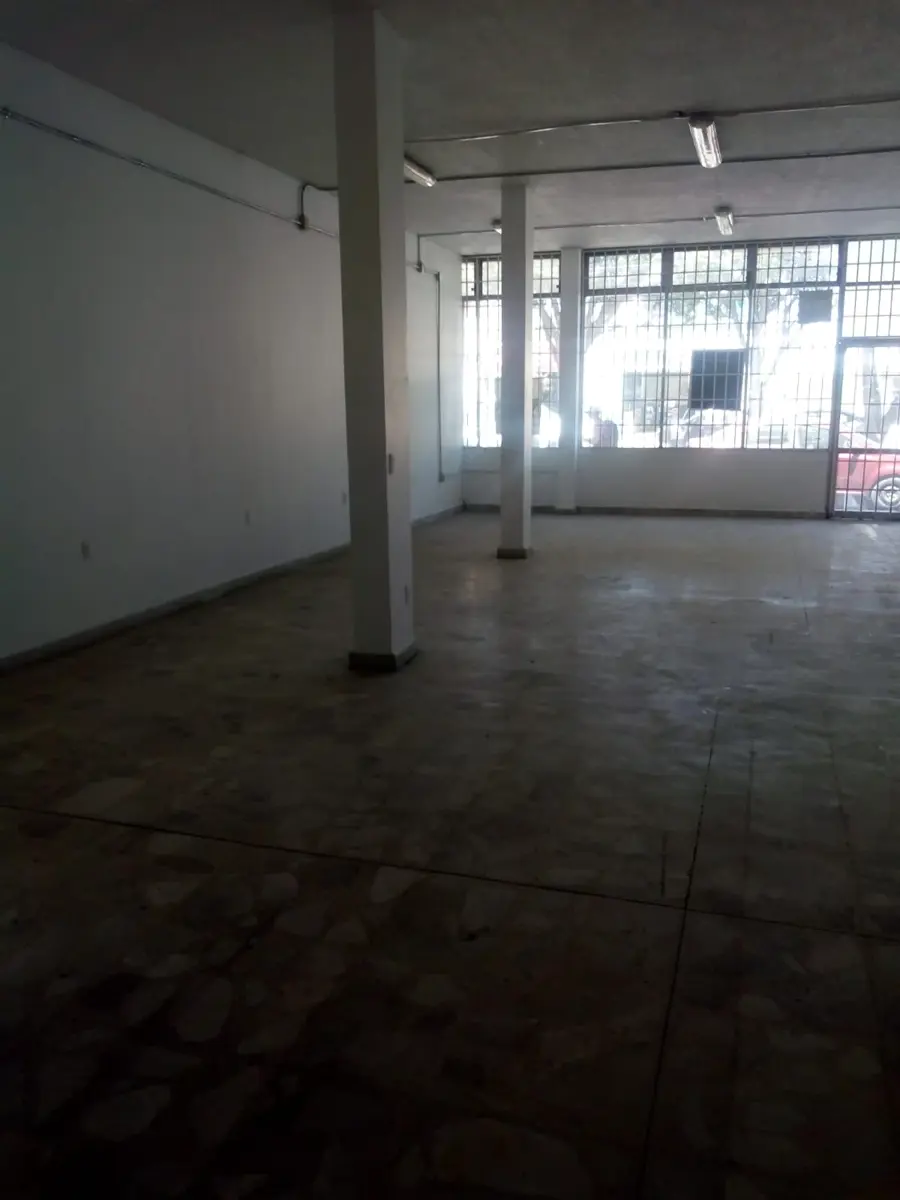 Local en venta en Fracc las Reynas, Irapuato — foto 1 de 12