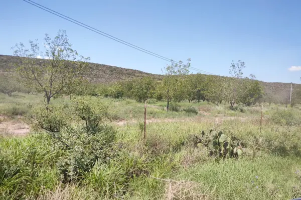 Terreno en venta en General Cepeda, General Cepeda — foto 3 de 10