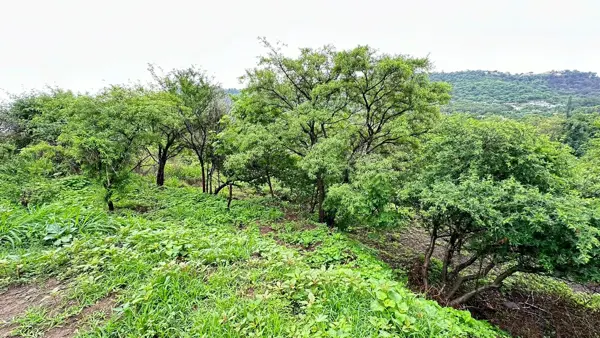 Terreno en venta en Las Cañadas (Bosques de San Isidro), Zapopan — foto 2 de 13