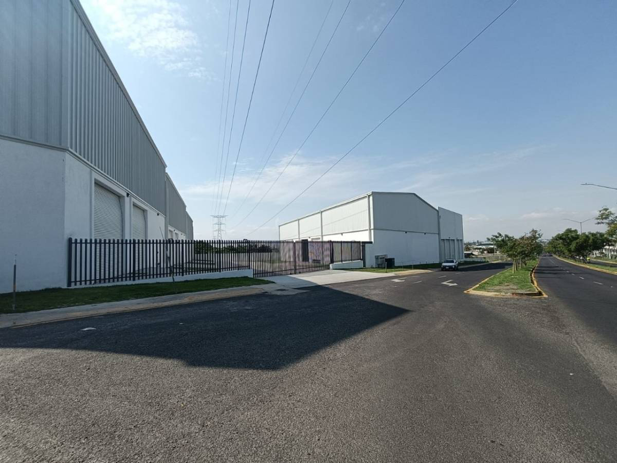 Bodega en renta en Bosques de San Isidro, Zapopan — foto 1 de 7