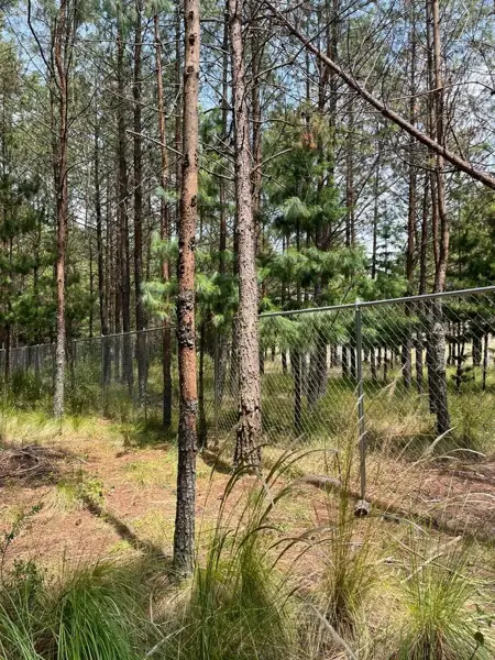 Terreno en venta en Chignahuapan, Chignahuapan — foto 2 de 20