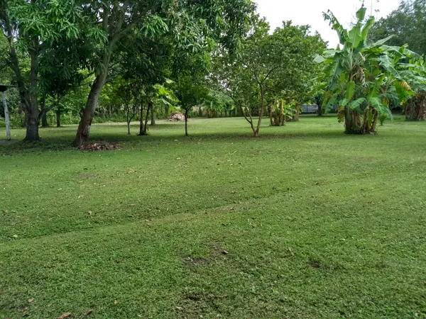 Terreno en venta en Bosque de Saloya, Nacajuca, Tabasco