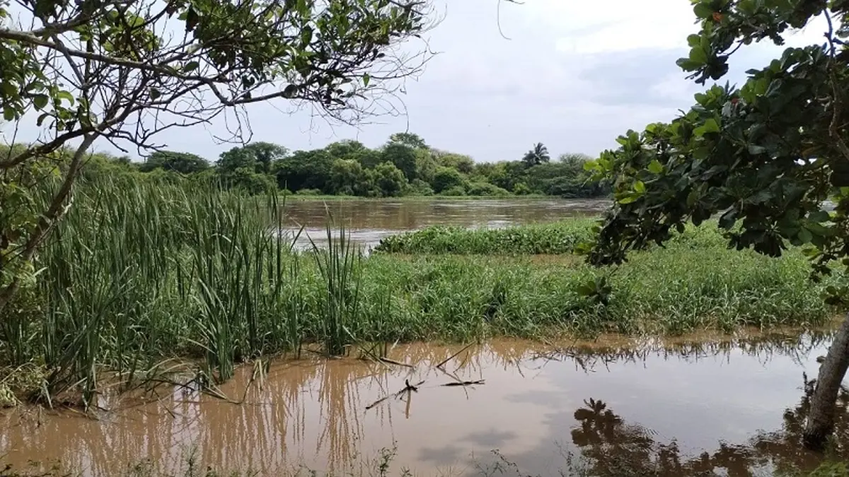 Terreno en venta en José Ingenieros (San Vicente), La Antigua — foto 1 de 8