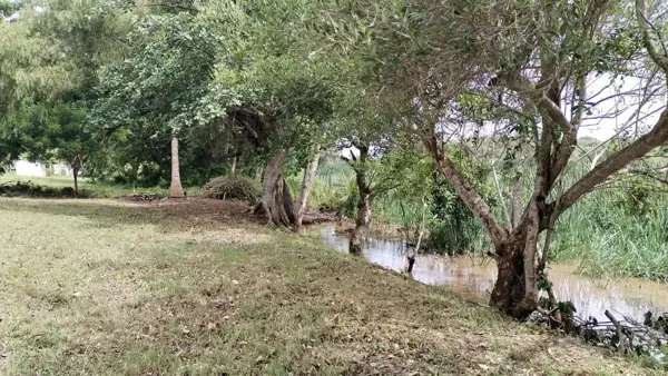 Terreno en venta en José Ingenieros (San Vicente), La Antigua — foto 2 de 8