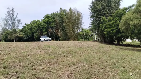 Terreno en venta en José Ingenieros (San Vicente), La Antigua — foto 3 de 8